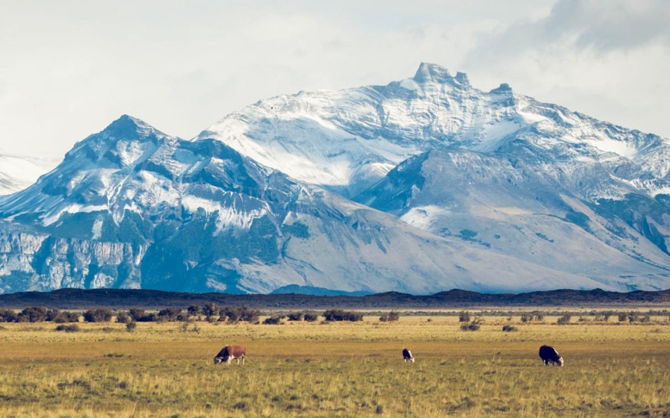 內(nèi)蒙古.png 內(nèi)蒙古.png